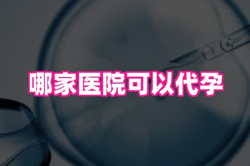 北京助孕网 1