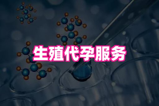 北京助孕网 2