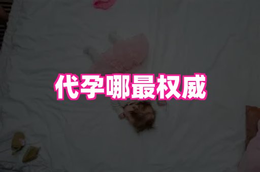 北京助孕网 3
