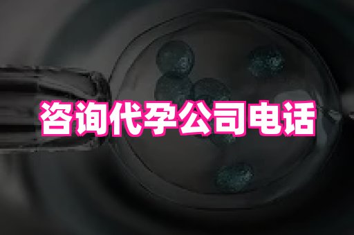 北京助孕网 4